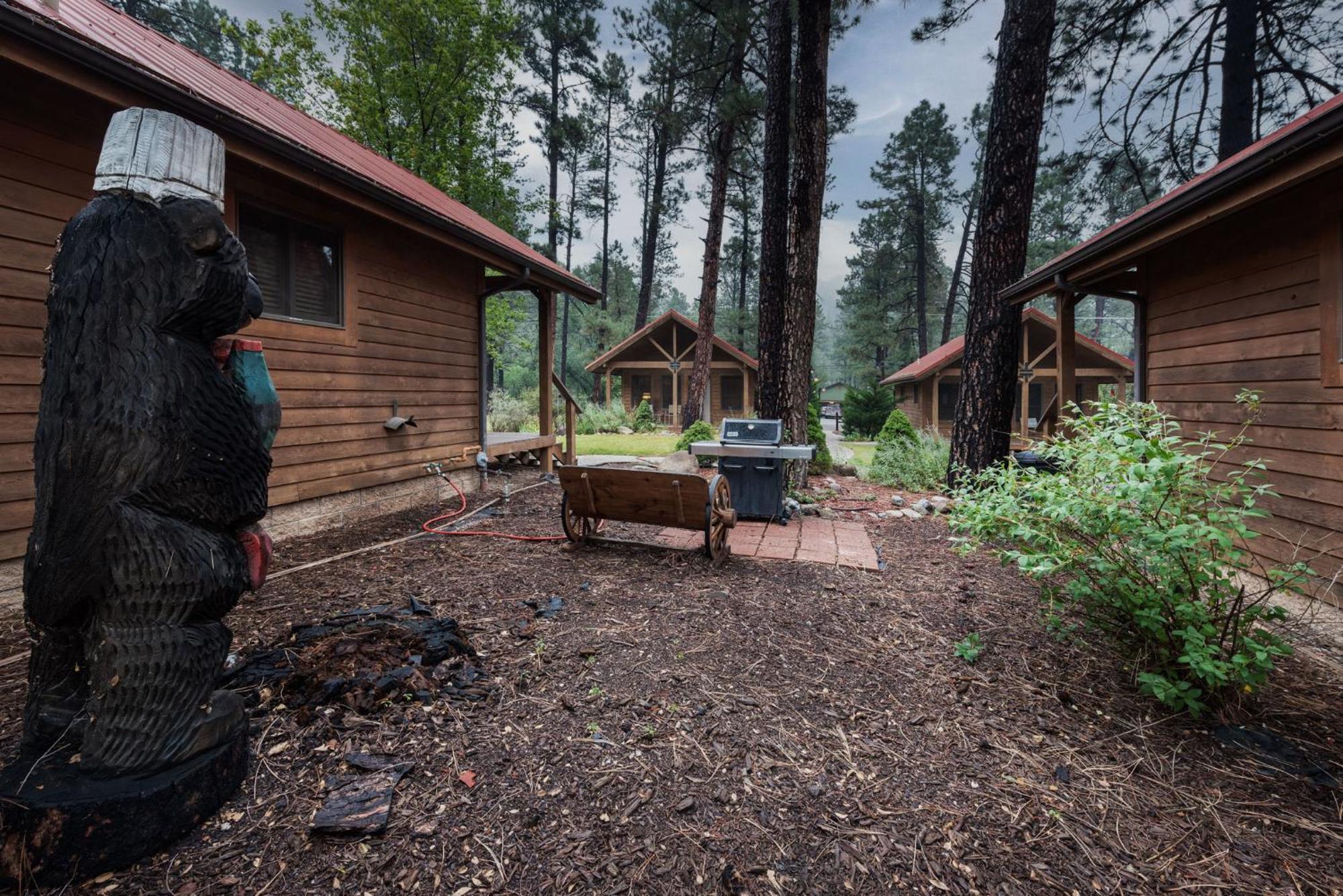 Shadow Mountain Lodge And Cabins Руідозо Екстер'єр фото